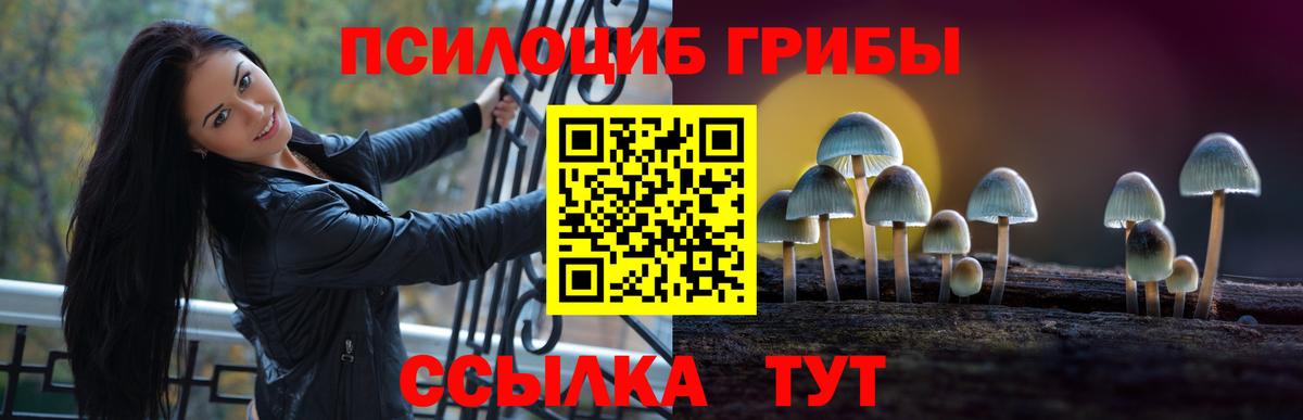 Сертолово  Галлюциногенные грибы ЛСД  Псилоцибиновые грибы прущие грибы  Вход с VPN 